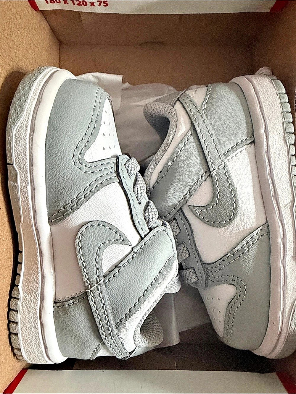 Nike Dunk Low (TD) ) White & Gray US 4C